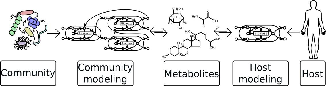Grafik: Modelling microbiome – host interactions