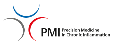 PMI logo