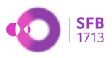 SFB 1713 logo