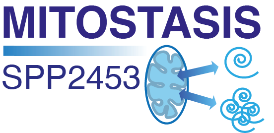 Mitotasis logo