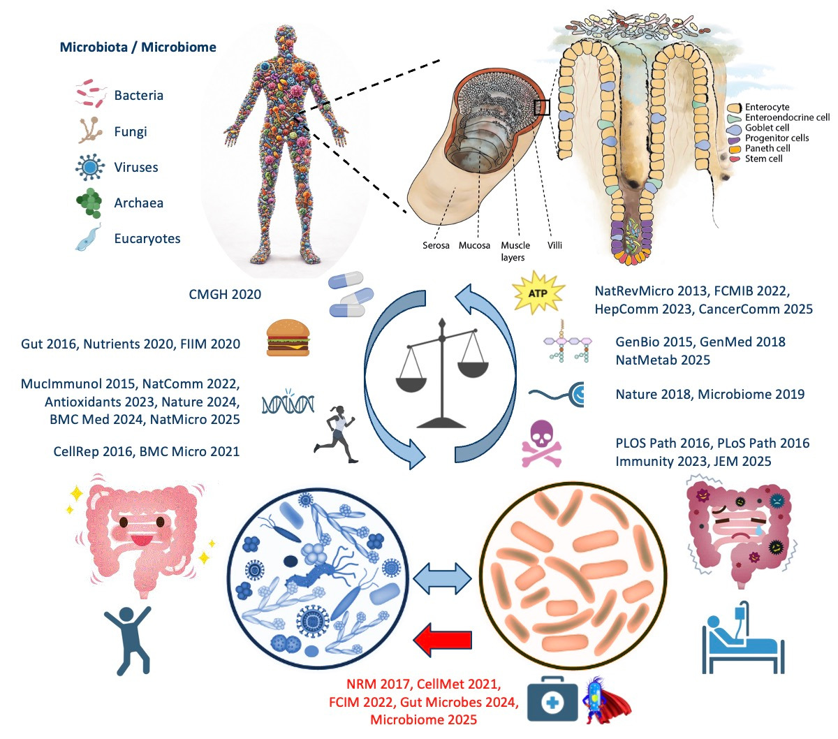 Functional Host-Microbiome Research