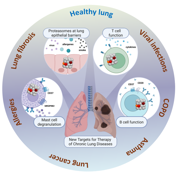 Immunoproteasome Research