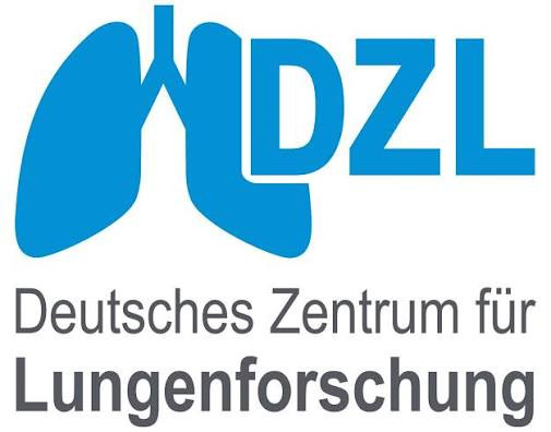 DZL logo